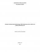 A ATIVIDADE INTERDISCIPLINAR DIREITO PENAL, DIREITO PROCESSUAL PENAL, DIREITO CIVIL E DIREITO PROCESSUAL CIVIL