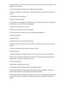 Relatorio Para Trabalho