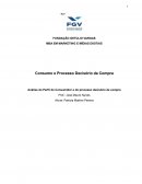 O CONSUMO E PROCESSO DECISÓRIO DA COMPRA