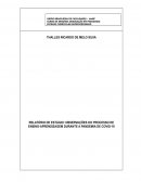 O RELATÓRIO DE ESTÁGIO: OBSERVAÇÕES DO PROCESSO DE ENSINO-APRENDIZAGEM DURANTE A PANDEMIA DE COVID-19