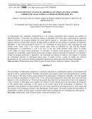 O LEVANTAMENTO E ANÁLISE DA ARBORIZAÇÃO URBANA DA PRAÇA PEDRO AMÉRICO DE SALES GOMES NA CIDADE DE IMPERATRIZ- MA