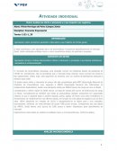 Atividade Individual FGV - Economia Empresarial