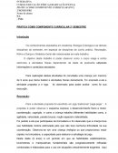 PCC 2 SEMESTRE UNIP CORRIGIDO