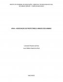 APAA – ASSOCIAÇÃO DE PROTETORES E AMIGOS DOS ANIMAIS