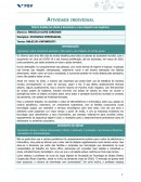 A Atividade Individual Economia Empresarial