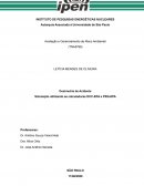 Dosimetria de Acidente: Simulação utilizando as calculadoras DCC-EPA e PRG-EPA