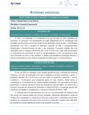 A Atividade Invidiual Economia Empresarial