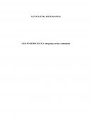 O Projeto de Pesquisa