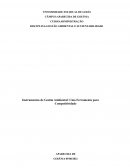 Instrumentos de Gestão Ambiental: Uma Ferramenta para Competitividade