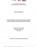 A SUSTENTABILIDADE E OS NOVOS MODELOS DE ORGANIZAÇÃO NA NOVA ECONOMIA COM ENFOQUE NA EMPRESA PETROLINA