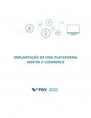 A IMPLANTAÇÃO DE UMA PLATAFORMA WEB DE E-COMMERCE