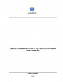 GERAÇÃO DE ENERGIA ELÉTRICA: APLICAÇÃO DE SISTEMA DE MICRO GERAÇÃO