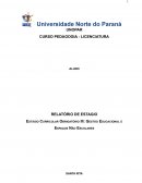 Estágio Curricular Obrigatório III: Gestão Educacional e Espaços Não Escolares