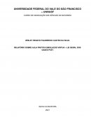 RELATÓRIO SOBRE AULA PRÁTICA SIMULAÇÃO VIRTUA – LEI GERAL DOS GASES PhET.