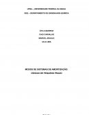 OS MODOS DE SISTEMAS DE AMORTIZAÇÃO: DÍVIDAS DE PEQUENO PRAZO