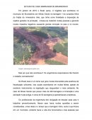 O ESTUDO DE CASO BARRAGEM DE BRUMADINHO