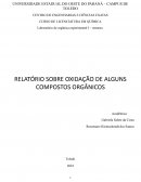 Relatório de Propriedades Física e Químicas