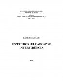 OS ESPECTROS SULCADOS POR INTERFERÊNCIA