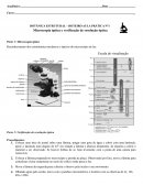 A Microscopia Óptica e Verificação de Resolução Óptica