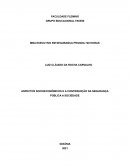 ASPECTOS SOCIOECONÔMICOS E A CONTRIBUIÇÃO DA SEGURANÇA PÚBLICA A SOCIEDADE