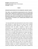 Sobre o seu entendimento de gerenciamento de crise em uma empresa aérea