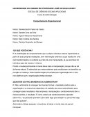 O Curso de Administração Comportamento Organizacional