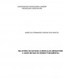 O RELATO DA ANÁLISE DO PLANO DE TRABALHO DOCENTE