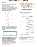 O Resumo Bioquímica