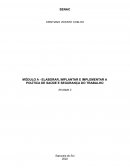 O ELABORAR, IMPLANTAR E IMPLEMENTAR A POLÍTICA DE SAÚDE E SEGURANÇA DO TRABALHO