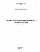 A IMPLEMENTAÇÃO DE UM SISTEMA DE INFORMAÇÃO E DE UM BANCO DE DADOS