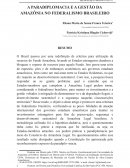 A PARADIPLOMACIA E A GESTÃO DA AMAZÔNIA NO FEDERALISMO BRASILEIRO