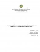 A CONTEXTUALIZAÇÃO DO PROCESSO DE PRESCRIÇÃO DE FITOTERÁPICOS NA PROMOÇÃO E INTEGRAÇÃO DA ATENÇÃO À SAÚDE