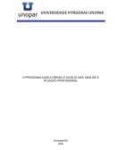 O PROGRAMA AUXÍLIO BRASIL E AUXÍLIO GÁS: ANÁLISE E ATUAÇÃO PROFISSIONAL