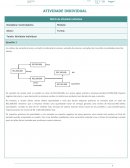 Matriz de atividade individual