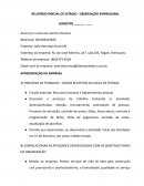 RELATÓRIO PARCIAL DE ESTÁGIO OBSERVAÇÃO EMPRESARIAL