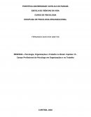 A Psicologia, Organizações e Trabalho no Brasil. Capítulo 15 - Campo Profissional do Psicólogo em Organizações e no Trabalho