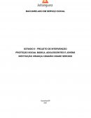 PROTEÇÃO SOCIAL BÁSICA, ADOLESCENTES E JOVENS INSTITUIÇÃO CRIANÇA CIDADÂN CIDADE SERODIO