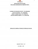 GERAÇÃO DE ENERGIA ATRAVÉS DE RESÍDUOS SÓLIDOS