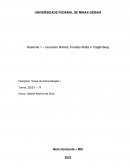 Resenha - A Burocracia e as Organizações (Prestes Motta, Guerreiro Ramos e Tragtenberg