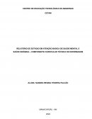 RELATÓRIO DE ESTÁGIO EM ATENÇÃO BÁSICA DE SAÚDE MENTAL E SAÚDE INDÍGENA – COMPONENTE CURRICULAR TÉCNICA DE ENFERMAGEM