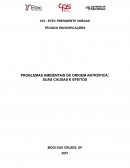 PROBLEMAS AMBIENTAIS DE ORIGEM ANTRÓPICA: SUAS CAUSAS E EFEITOS