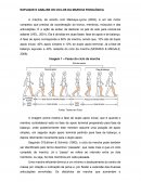 MARCHA EM IDOSOS EXPLIQUE E ANALISE OS CICLOS DA MARCHA FISIOLÓGICA