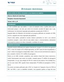 Atividade Individual FGV Economia Empresarial