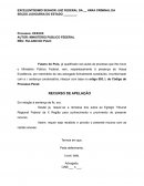 RECURSO DE APELAÇÃO CRIMINAL