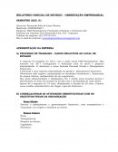 RELATÓRIO PARCIAL DE ESTÁGIO - OBSERVAÇÃO EMPRESARIAL