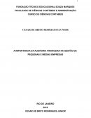 A IMPORTANCIA DA AUDITORIA FINANCEIRA NA GESTÃO DE PEQUENAS E MEDIAS EMPRESAS