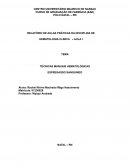 RELATÓRIO DE AULAS PRÁTICAS DA DISCIPLINA DE HEMATOLOGIA CLINICA