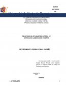 O Procedimento Operacional Padrão