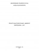 O PROJETO MULTIDISCIPLINAR AMBIENTE EMPRESARIAL