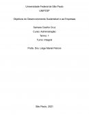 Objetivos do Desenvolvimento Sustentável e as Empresas